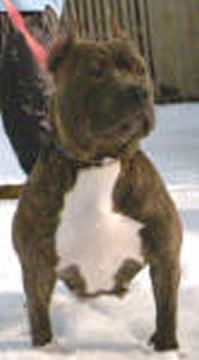 RAZORSEDGE CLP LIVN N PARADISE